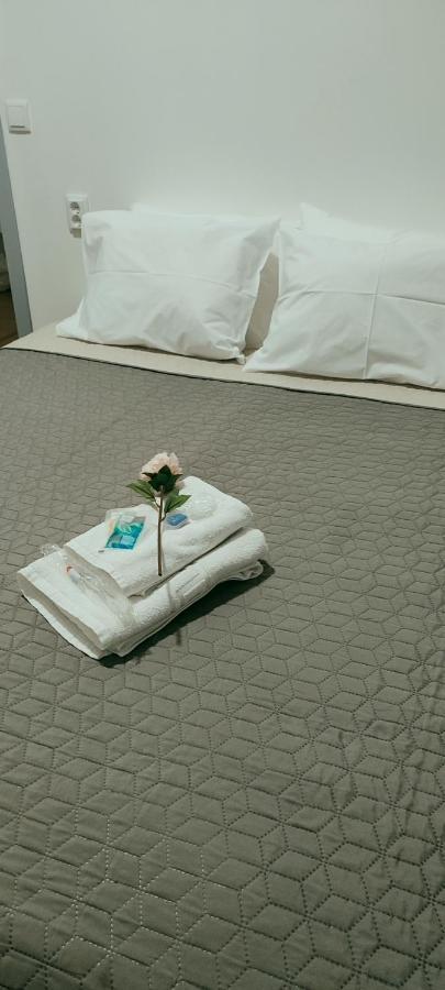 Vila Santa Cruz Guest House براغا المظهر الخارجي الصورة