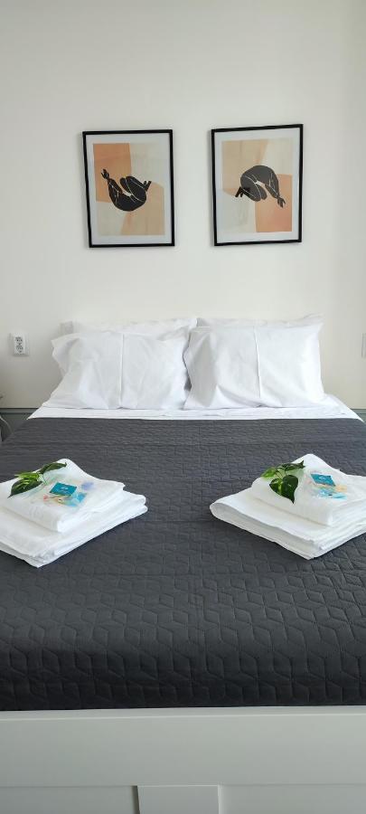 Vila Santa Cruz Guest House براغا المظهر الخارجي الصورة